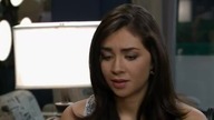 dqtqtq 135 1