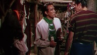 Seminole. 1953. Lektor.pl