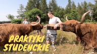 Relacja z praktyk - część 1. Vlog z farmy#14