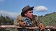 Broń dla tchórza 1957 Gun for a Coward - BluRay 1080p h264 AAC napl
