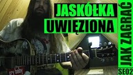 Jaskółka uwięziona - Stan Borys | odc.  768 Jak zagrać | Akordy | PT: 2/6