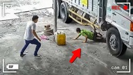 NAJWIĘKSI SZCZEŚCIARZE UCHWYCENI NA KAMERZE
