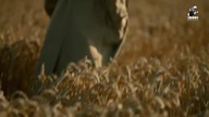 Living. and. Dead. 2016.pl. S01E03. 720p. HDTV. X264-J