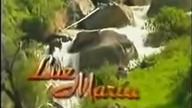 046 - Luz Maria