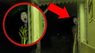 Dziwna Istota w Moim Ogrodzie - 7 Strasznych Paranormalnych Nagrań!