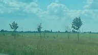 Rzadki widok BMW na lawecie
