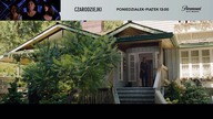 Sonic.  Szybki jak błyskawica (2020)