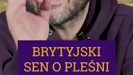 BRYTYJSKI SEN O PLEŚNI W DOMU