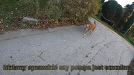 Ministerstwo Przepompowań Cz3