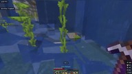 ILE ZARABIA SERWER MINECRAFT Z 2000 GRACZY? PART 2