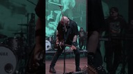 Z partyjnym pozdrowieniem.  12 hitów w stylu lambada hardcore  debiutancki album zespołu Big Cyc!