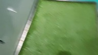 Psia Kuweta na statku, albo Rubik testuje Hundkuvetten! Rejs z SK do Szwecji #02!