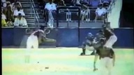 Randy Johnson hits a bird!!!