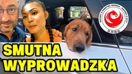 Klamka zapadła.  Wynająłem tańszy dom.