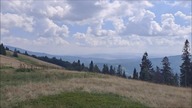 Hala Boracza i Hala Redykalna