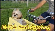 My Cute Puppy- Cycling with me