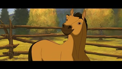 #shorts #short #shortvideo #horse #spirit #edit