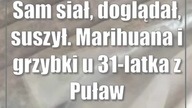 Sam siał, doglądał, suszył.  Marihuana i grzybki u 31-latka z Puław
