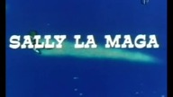 Sally Czarodziejka 17 - Wielki Maraton