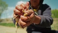 CHINY - DACH ŚWIATA - UKOCHANA ZIEMIA