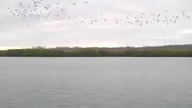 Skoordynowany atak z powietrza