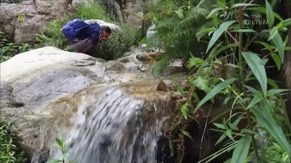 TVPKULTURA - 29-06-2021 - Reklama, Ident, Autopromocja