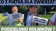 Co dalej z Piątka dla zwierząt? Środowisko rolnicze zostało podzielone? | P.  Lisiecki