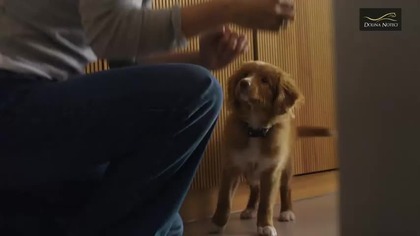 Dolina Noteci - Święta w zwierząt