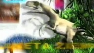 Kolekcja Wiedza i świat - spot reklamowy (wersja 1)