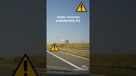 Jazda rowerem na autostradzie A1 #shorts #rikordwidjo