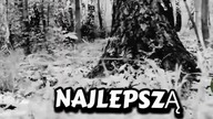 najlepszą decyzją.. #prawda #true #trueman