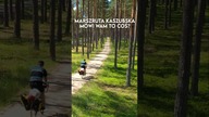 3 najlepsze trasy na KASZUBACH.  Co za kraina! 