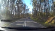 Kolizja i ucieczka z miejsca zdarzenia