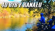446 PIĘKNY KANAŁ i 40 RYB - BUDOWANIE ŁOWISKA - FEEDER Z PLECIONKĄ