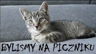VLOG: BYLISMY NA PICZNIKU :)