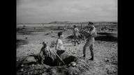 Szczury pustyni 1953 lektor pl