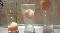 Eggs & Salt Water - float an egg in the middle of salt water - HD