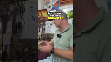 Akwarium bez opieki , 3 tygodnie po.