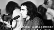 Andrzej Zaucha & Dżamble - Słońce nad My-Lai (1971)