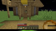 HOW to fix stupid villagers? ---- A Dumb villager doesnt know how to pick up food.