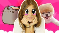 Czy jesteśmy SŁODZIAKAMI - QUIZ!