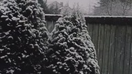 U nas już zima,a u was?