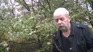 Głóg zastosowanie w medycynie.