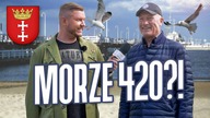 Pytamy o marihunaen w Trójmieście #Sonda 11