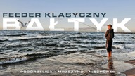 610 KLASYCZNY FEEEDER NA BAŁTYKU, KANAŁ LIWKA I MRZEŻYNO