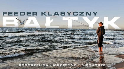 610 KLASYCZNY FEEEDER NA BAŁTYKU, KANAŁ LIWKA I MRZEŻYNO