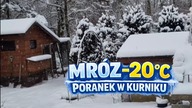  Zimowy poranek na wsi: kury, świeże jajka i pierwsze rozsady | Start sezonu w ogrodzie