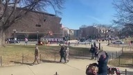USA: Wisi gadzior, wisi