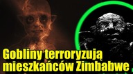 Mieszkańcy Zimbabwe są regularnie atakowani przez gobliny!