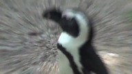 ZOO Warszawa - film pełnometrażowy z 2013 roku